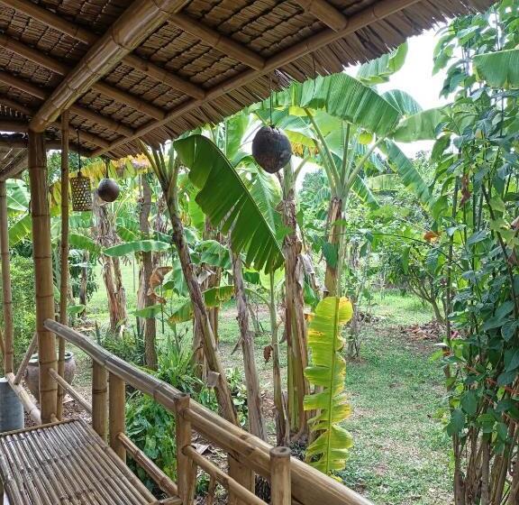 家庭间, สวนเกษตรรักษ์ไผ่ Bamboo Conservation Farm