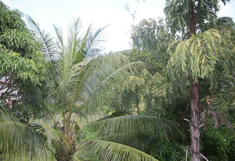 デラックスルーム, Super Spot Guest House