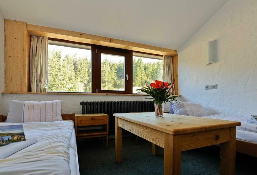 Номер Стандарт, Erlebachova Bouda, Hotel   Resort Svatý František