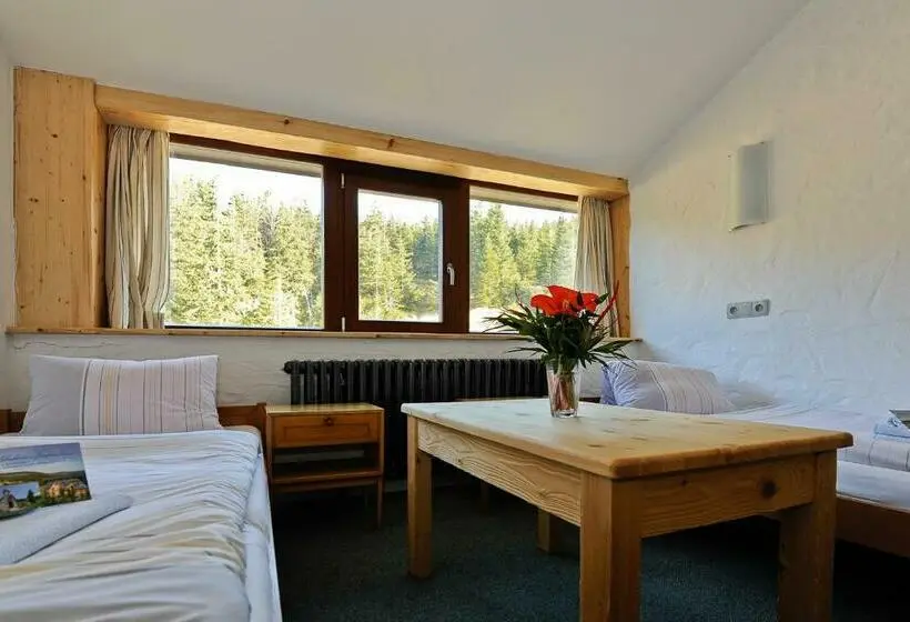 Standard-huone, Erlebachova Bouda, Hotel   Resort Svatý František