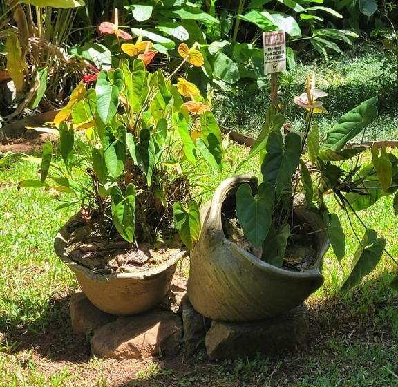 Студия Стандарт, Flat Amarilis Apartamento 103