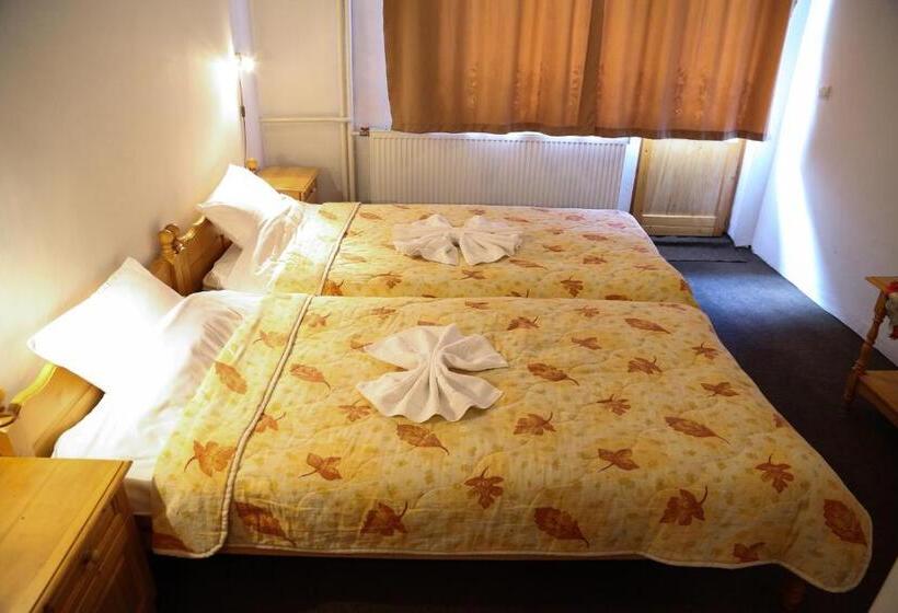 חדר סטנדרט, Family Hotel Bisser