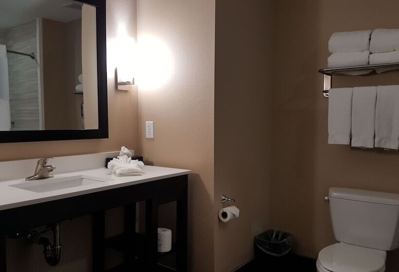 스탠다드 룸, Holiday Inn Express And Suites Atascocita Humble Kingwood, An Ihg