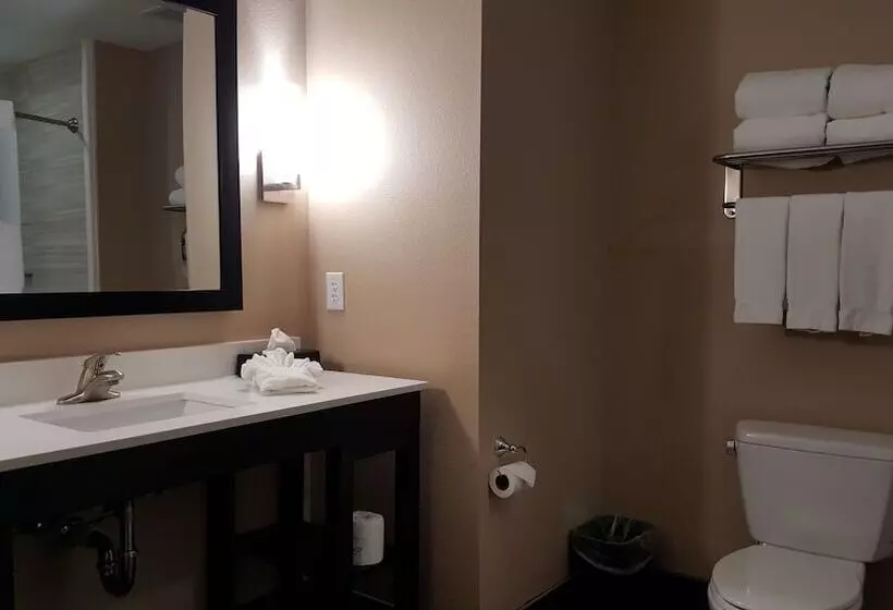 スタンダードルーム, Holiday Inn Express And Suites Atascocita   Humble   Kingwood, An Ihg