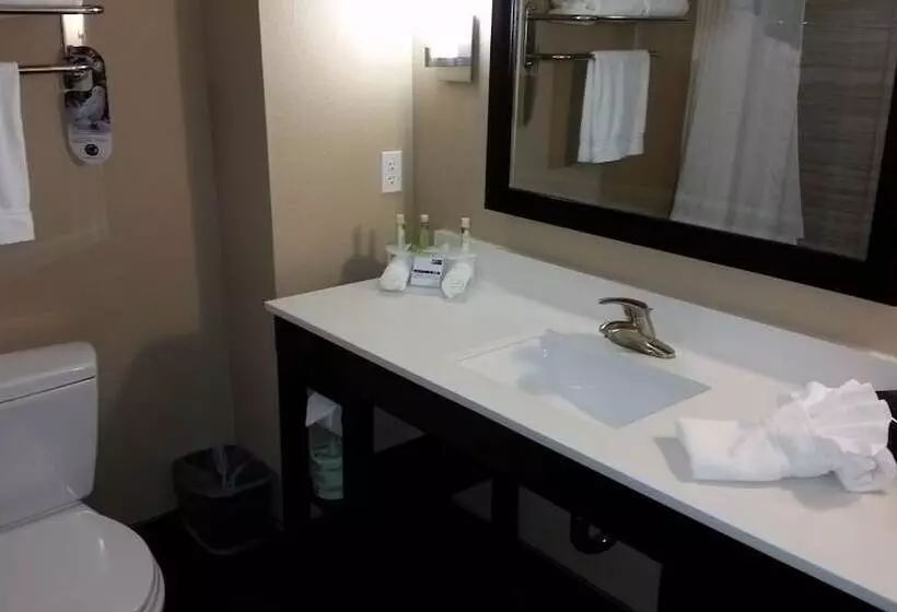 スイート, Holiday Inn Express And Suites Atascocita   Humble   Kingwood, An Ihg