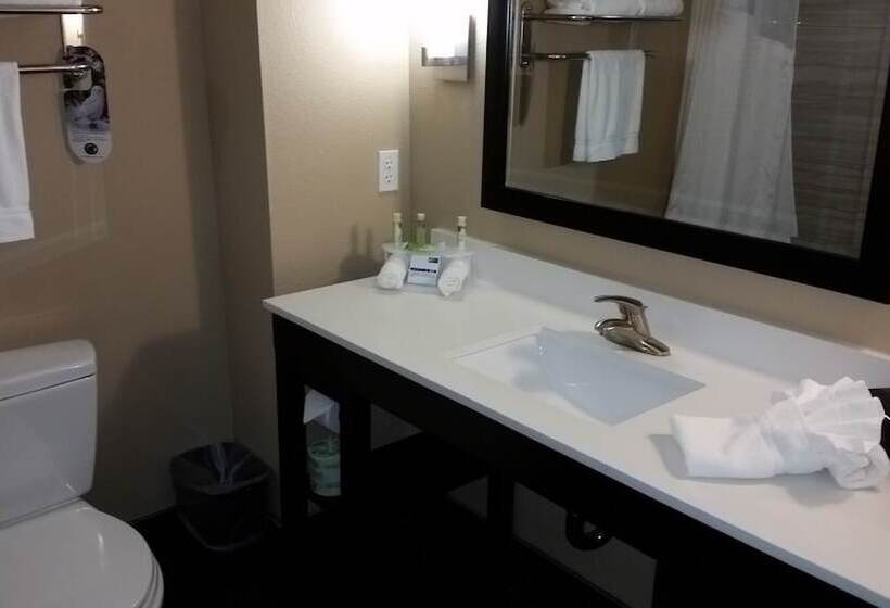 장애인을 위한 스위트, Holiday Inn Express And Suites Atascocita Humble Kingwood, An Ihg