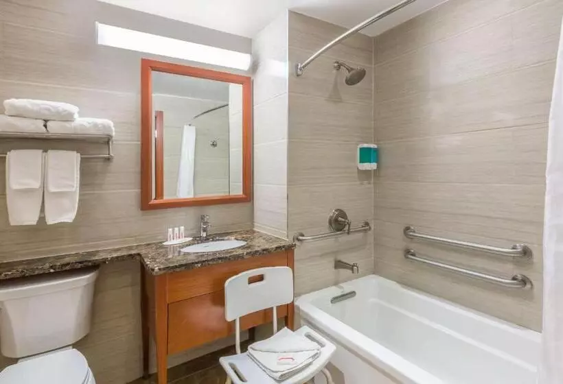 身障者適用スイートルーム, Ramada By Wyndham Flushing Queens