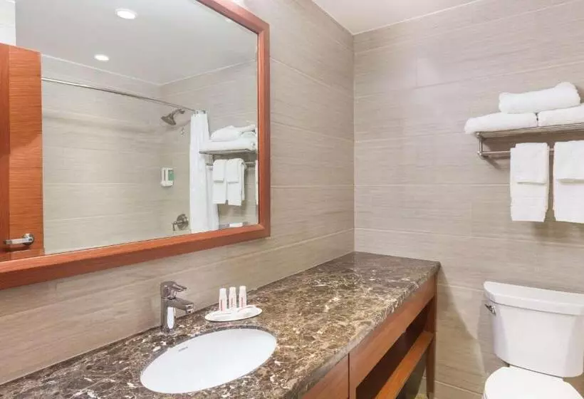 ２ダブルベッドのスタンダードルーム, Ramada By Wyndham Flushing Queens