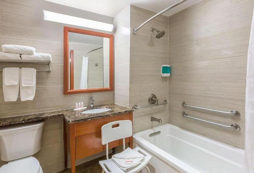 חדר סטנדרט מותאם לאדם עם מוגבלויות, Ramada By Wyndham Flushing Queens