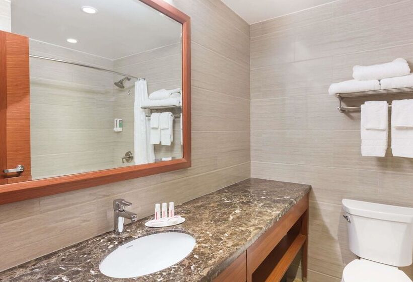 اتاق استاندارد با 2 تخت دوبل, Ramada By Wyndham Flushing Queens