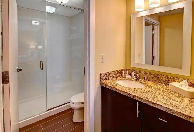 キングサイドベッドのスタンダードワンルーム, Towneplace Suites Oklahoma City Airport