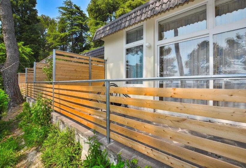 اتاق خانوادگی, Maestral Residence