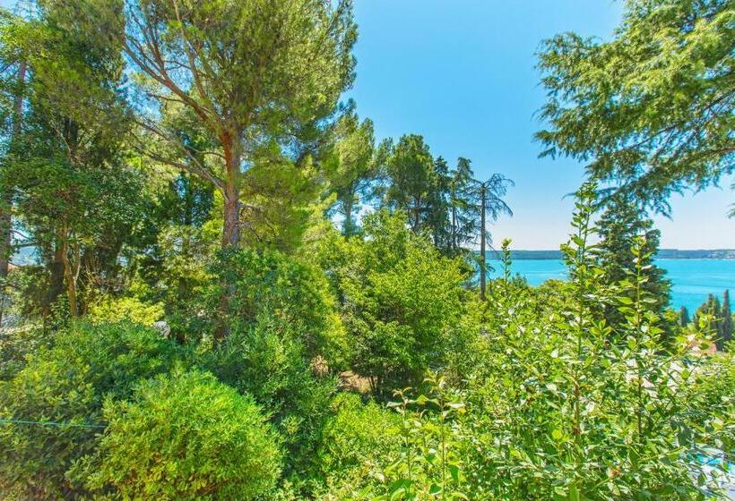 اتاق استاندارد یک نفره, Maestral Residence