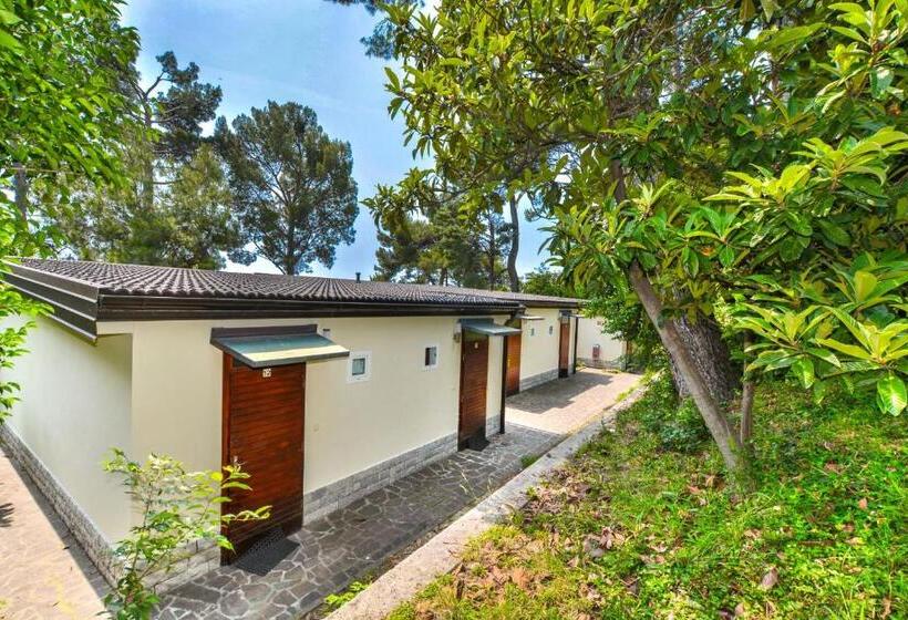 آپارتمان 1 خوابه با تراس, Maestral Residence