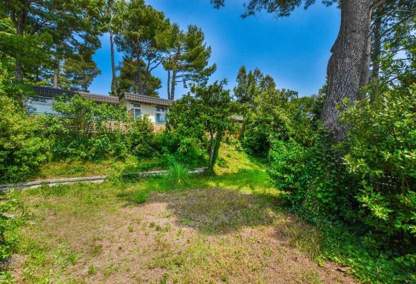 آپارتمان 1 خوابه با تراس, Maestral Residence