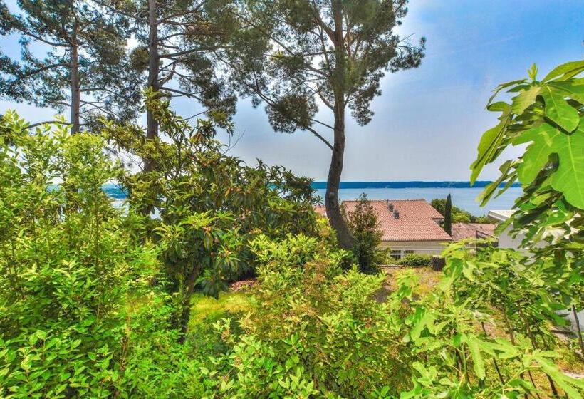 آپارتمان 1 خوابه با تراس, Maestral Residence