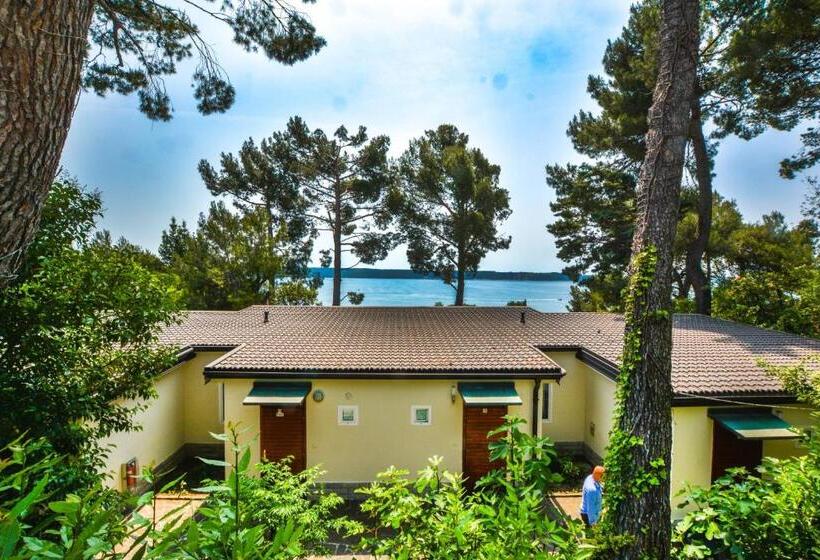 آپارتمان 1 خوابه با تراس, Maestral Residence