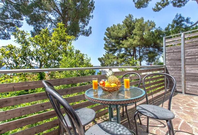 آپارتمان 1 خوابه با تراس, Maestral Residence