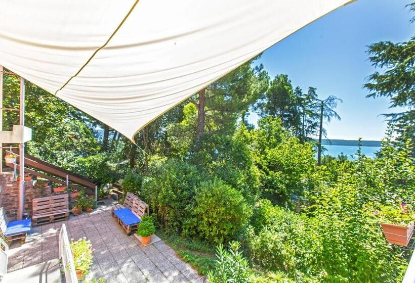 اتاق اکونومی, Maestral Residence