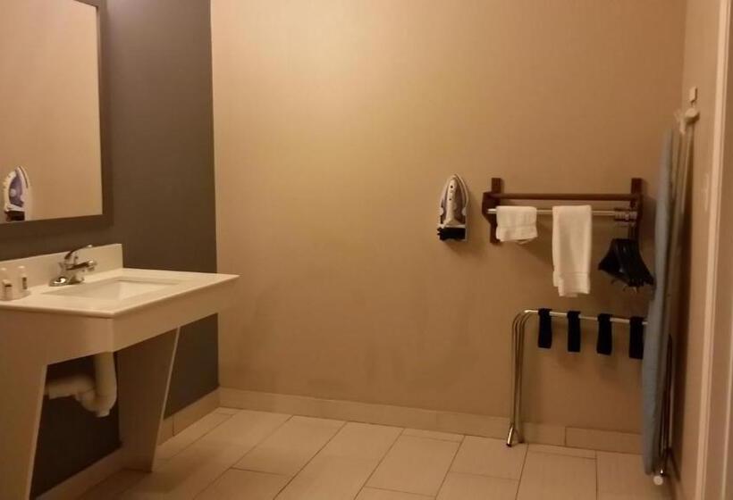 适用于残疾人士的豪华房间, Atria Inn & Suites