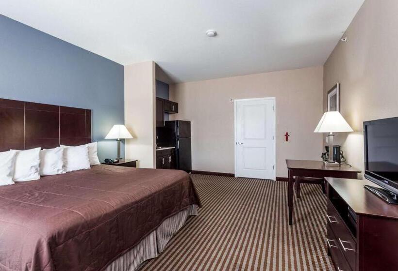 Люкс Кровать Кинг, Atria Inn & Suites
