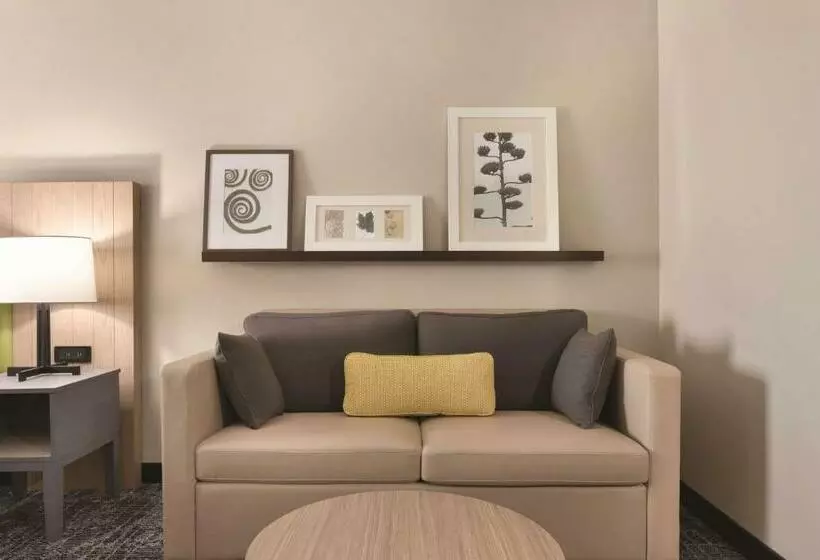 キングサイドベッドのスタンダードワンルーム, Country Inn & Suites By Radisson, Macon West, Ga