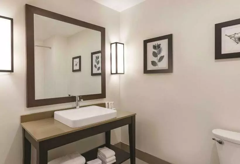 キングサイズベッドのスタンダードルーム, Country Inn & Suites By Radisson, Macon West, Ga