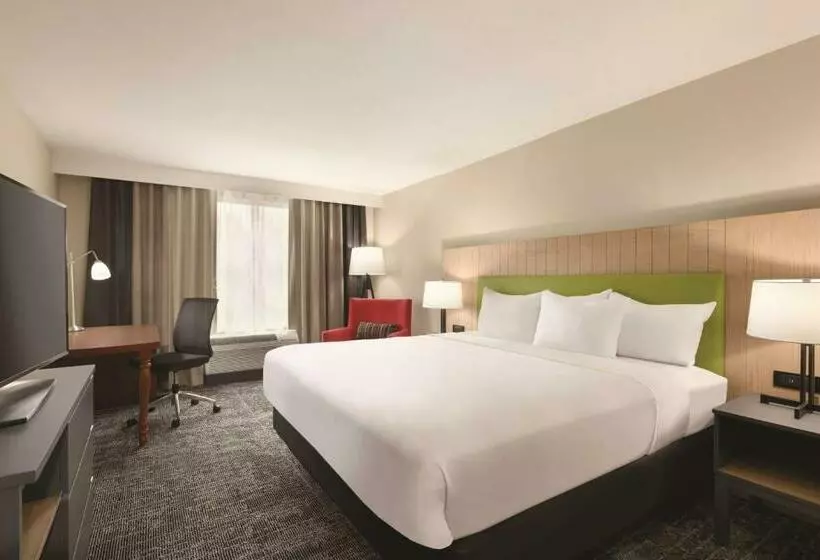 キングサイズベッドのスタンダードルーム, Country Inn & Suites By Radisson, Macon West, Ga