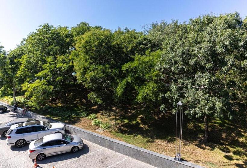 اتاق استاندارد یک نفره, Nemo Hotel Resort & Spa