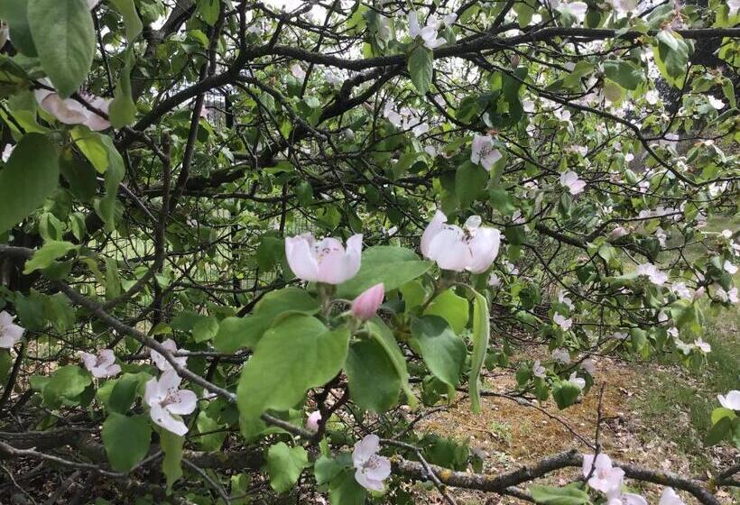 ファミリースイートの2ベッドルーム, Le Clos Des Cigales