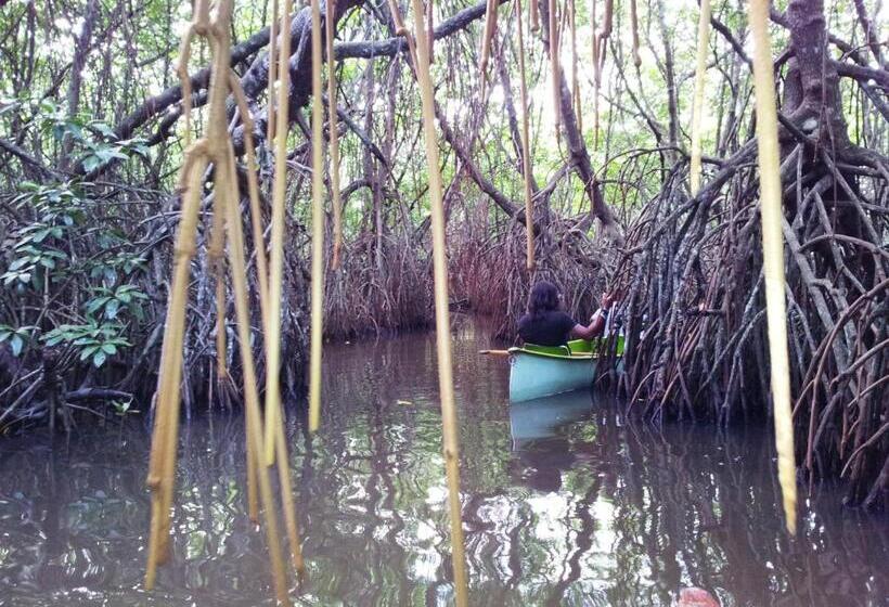 标准间, Villa Ali