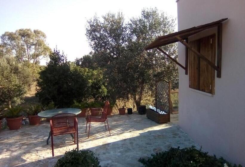 اتاق استاندارد با بالکن و چشم‌انداز دریا, Antica Tenuta