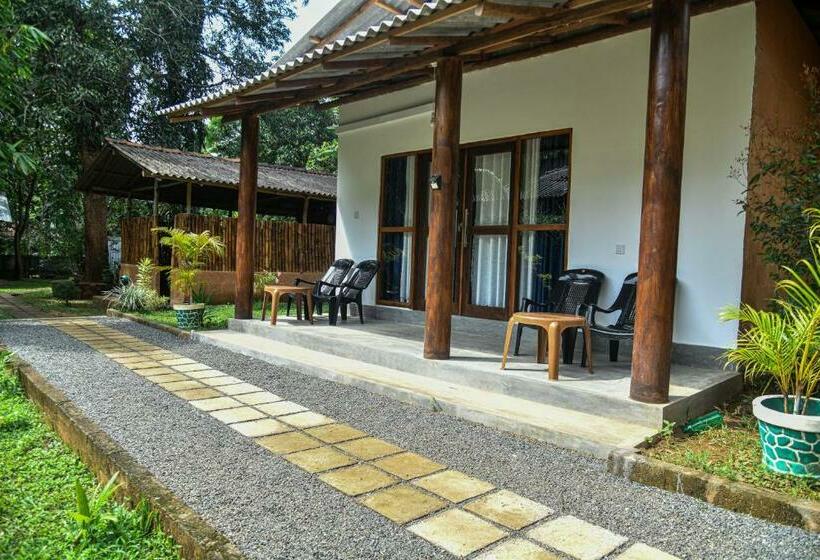 اتاق لوکس خانوادگی, Clay House