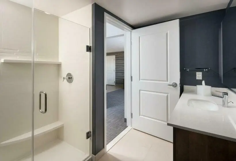 キングサイズベッドのスイートルーム, Residence Inn By Marriott Tampa Wesley Chapel
