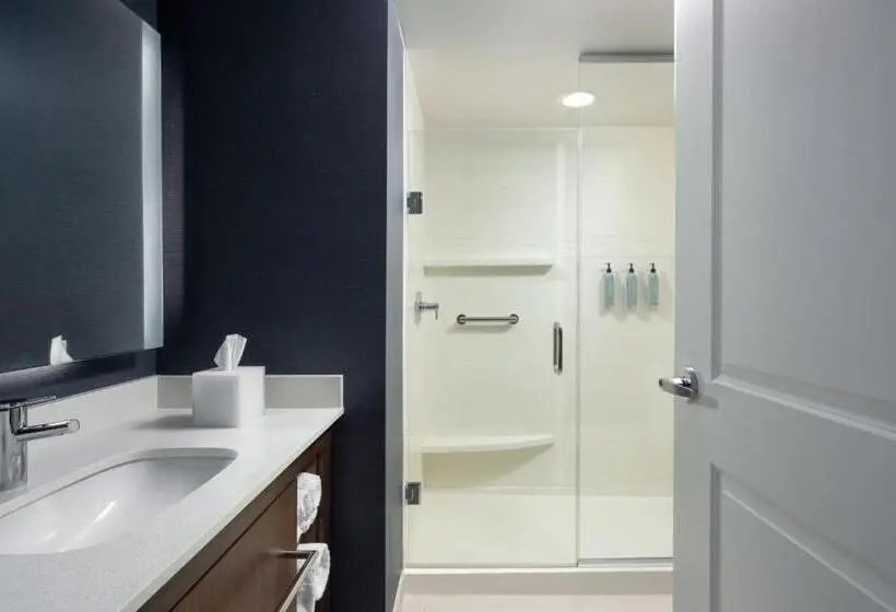 スタンダードスタジオ, Residence Inn By Marriott Tampa Wesley Chapel