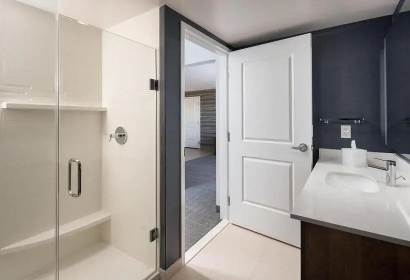 スイート, Residence Inn By Marriott Tampa Wesley Chapel
