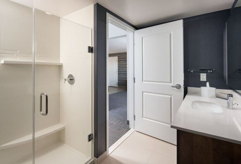 جناح, Residence Inn By Marriott Tampa Wesley Chapel