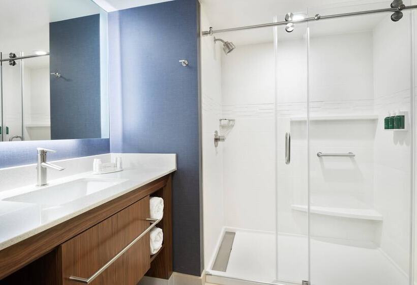 Люкс, Residence Inn By Marriott Tampa Wesley Chapel