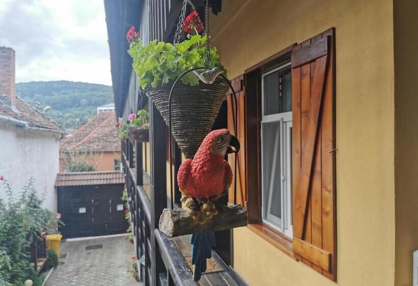 Номер Superior, Casa Cu Cerdac