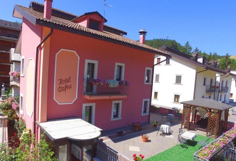 חדר סטנדרט יחיד, Dafne