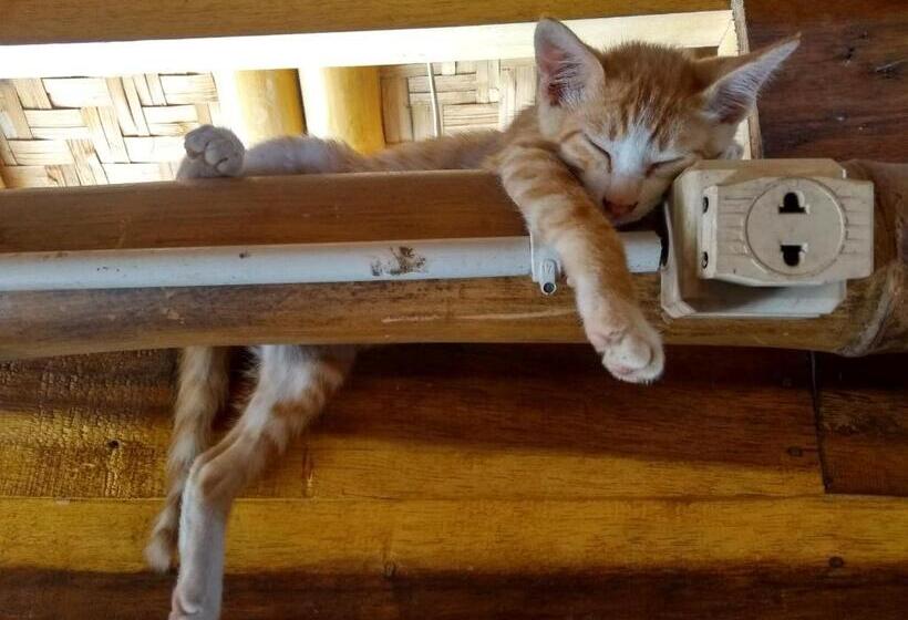 חדר אקונומי, Harry S Ocean House Watukarung Homestay