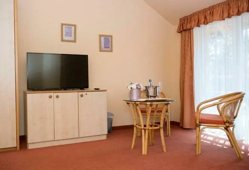 スタンダードシングルルーム, Termálhotel Martfű