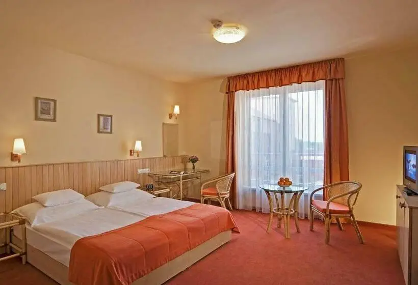 スタンダードシングルルーム, Termálhotel Martfű