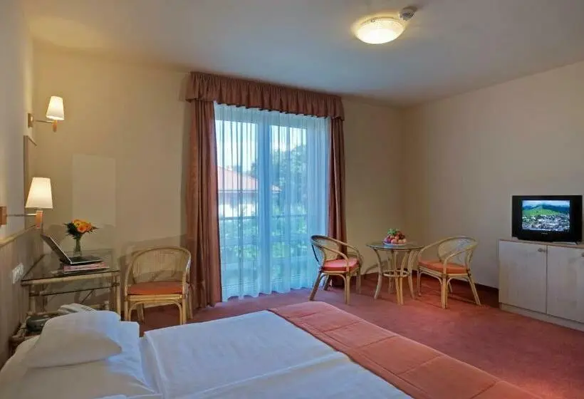 スタンダードシングルルーム, Termálhotel Martfű