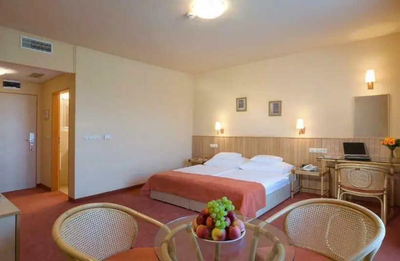 スタンダードシングルルーム, Termálhotel Martfű