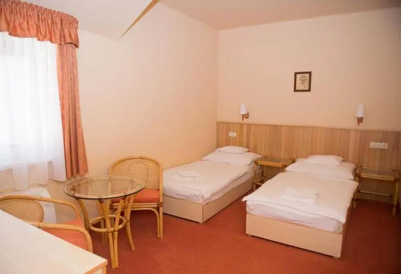 スタンダードトリプルルーム, Termálhotel Martfű