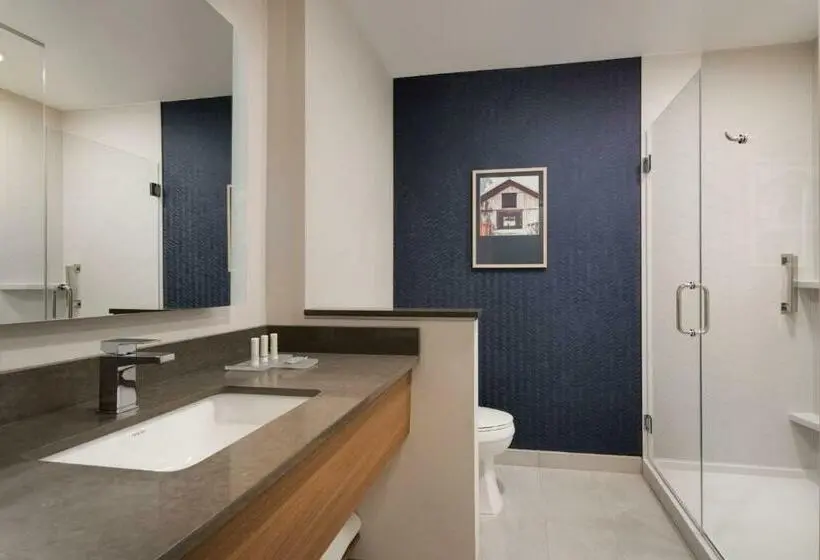 キングサイズベッドのスタンダードルーム, Fairfield By Marriott Inn & Suites Franklin Cool Springs