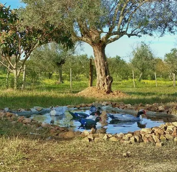 スイート（家族用）, Quinta Da Tapada De São Pedro