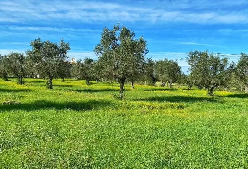 スイート（家族用）, Quinta Da Tapada De São Pedro