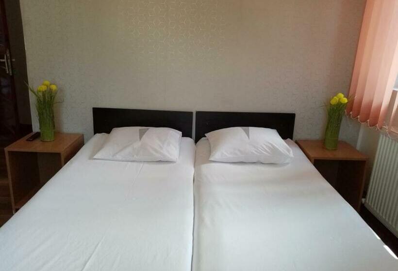 חדר סטנדרט, Vila Danlavi Busteni